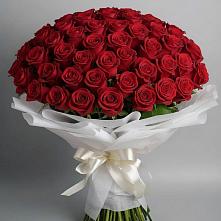 Букет 101 Красная роза Блэк Мэджик в Сулаке