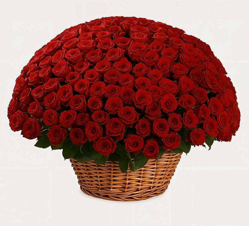 Премиум букет из: Розы в Сулаке