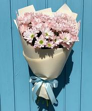 Букет цветов из:  Хризантемы в Сулаке