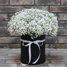 Цветочная композиция из Гипсофила в шляпной коробке в Сулаке
