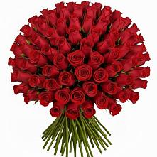 Букет Красные розы Чери Лав в Сулаке
